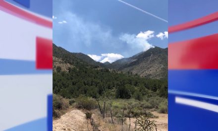 Es complejo sofocar el incendio en Arteaga