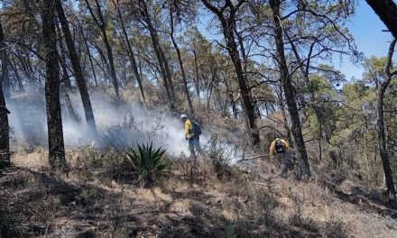 Continúa Arteaga apoyando incendio de Ramos Arizpe