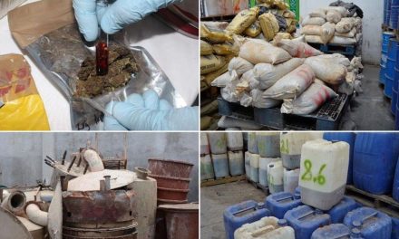 FGR destruye en Sinaloa 35 toneladas de narcóticos y 735 mil 498 pastillas de fentanilo