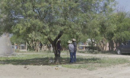 Escasea el agua en La Laguna