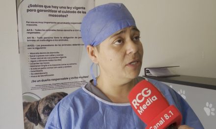 Más de 187 esterilizaciones se han realizado en el 2023 en Ramos Arizpe