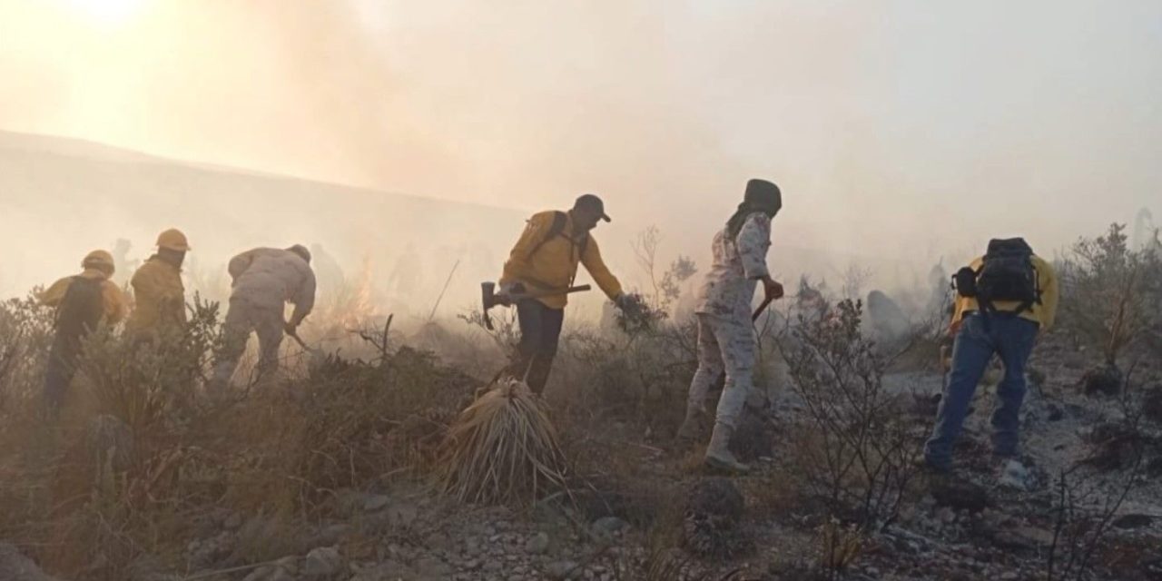 Siguen activos cuatro incendios forestales en el estado