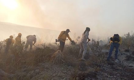 Siguen activos cuatro incendios forestales en el estado