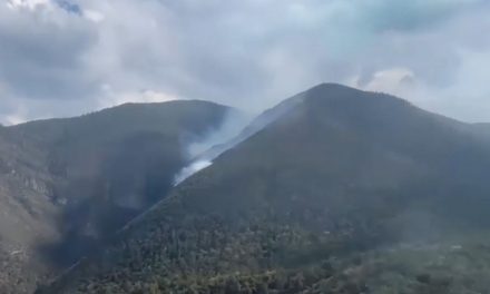 Continúan activos 6 incendios forestales en Coahuila