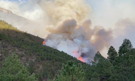 Coahuila en emergencia por incendios forestales