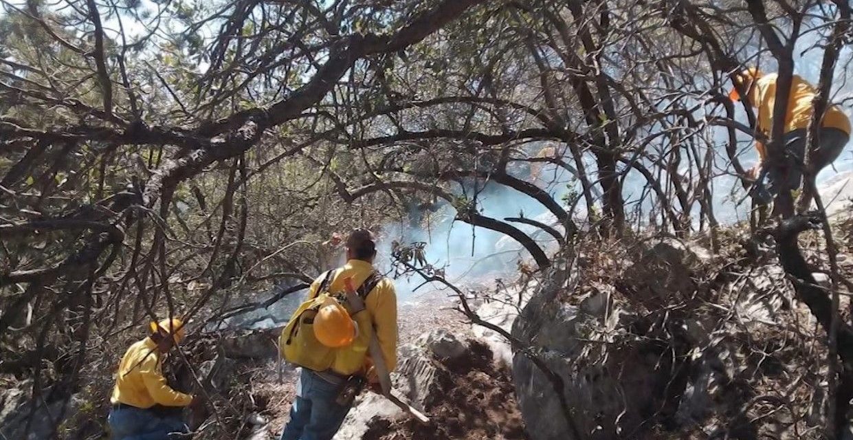 Se mantienen cuatro incendios forestales activos en el estado