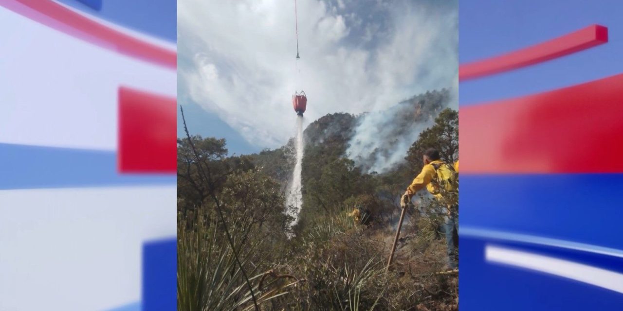 Incendio  forestal tiene un 60% de control