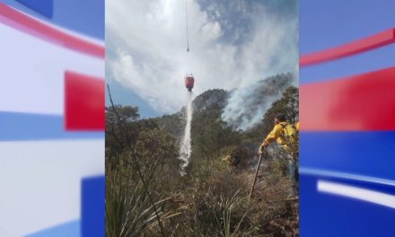 Incendio  forestal tiene un 60% de control