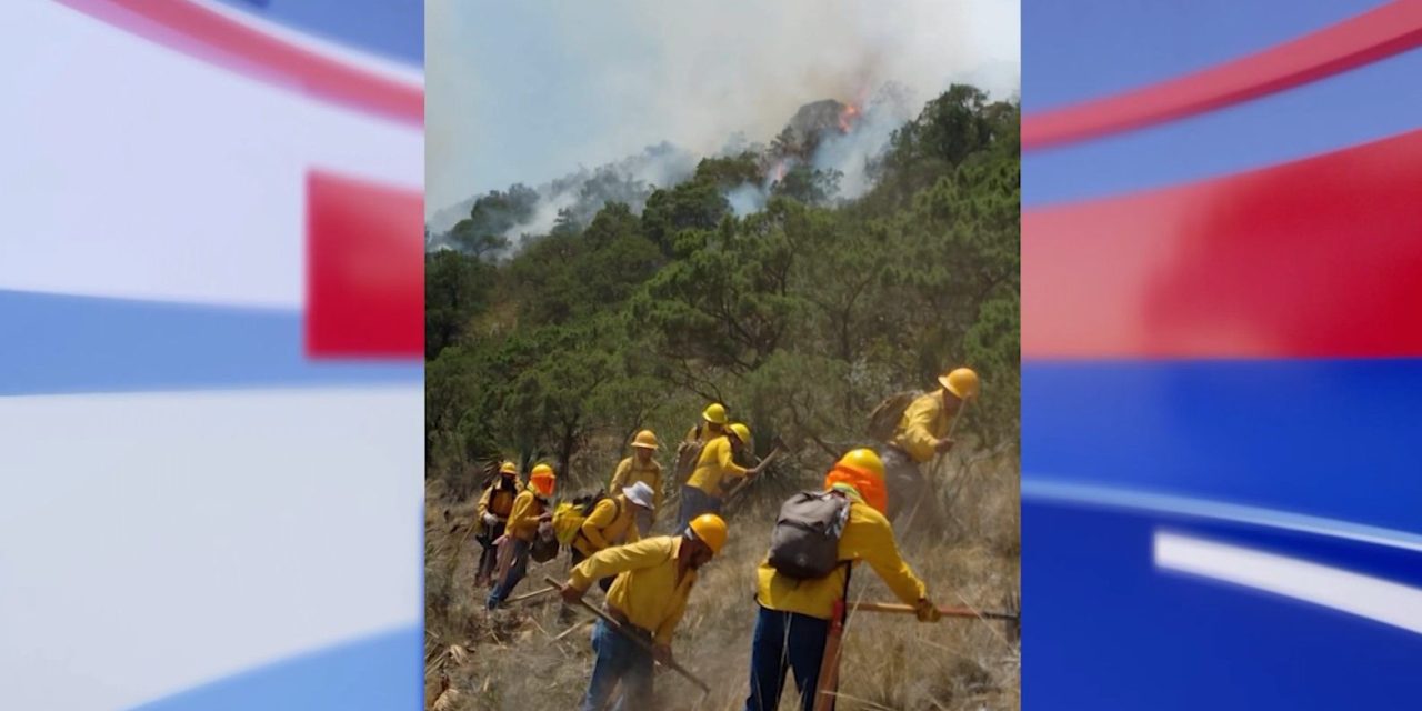 Liquidación de incendio en ‘Las Maravillas’ en un 40 por ciento