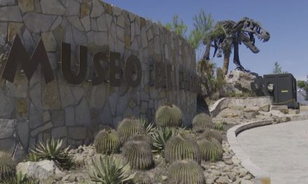 Ofrece MUDE descuentos a quienes acudan a votar
