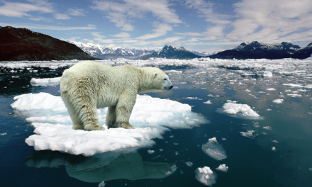 Sin hielo para el 2030, se complica la situación en el Polo Norte