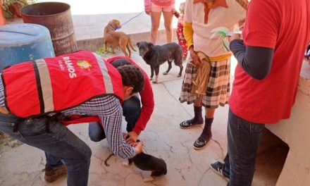 Para prevenir rickettsia en ejidos de Ramos Arizpe realizarán vacunación y fumigación en área rural