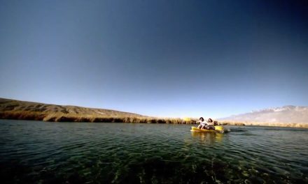 Espera turismo, 800 mil visitantes en el verano