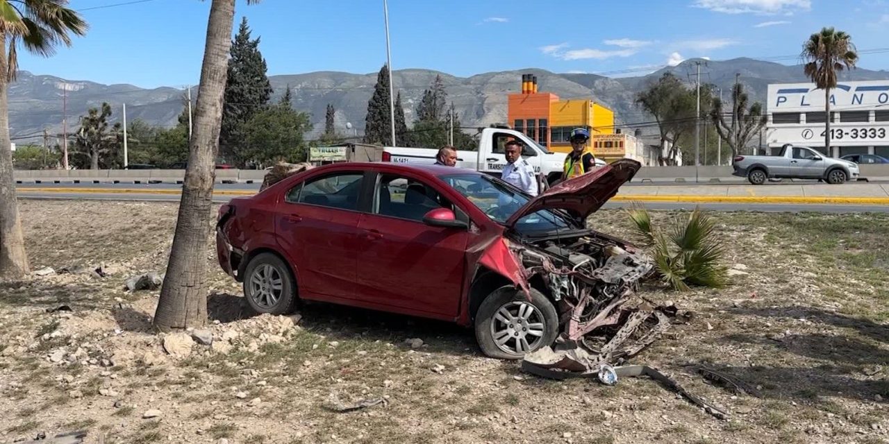 Hombre ‘vuela’ en Fundadores y derriba dos palmas
