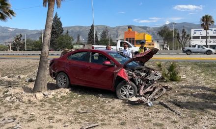 Hombre ‘vuela’ en Fundadores y derriba dos palmas