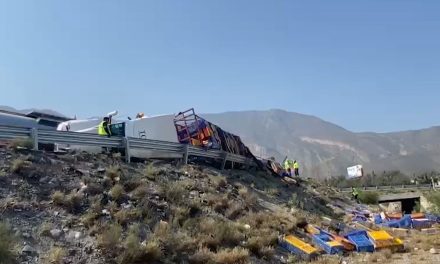 Vuelca camión con gallinas de granja en carretera Saltillo-Monterrey