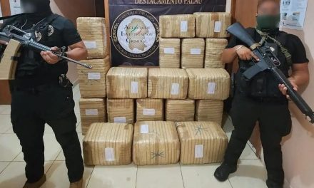 Aseguran 200 kilos de mariguana en Palaú