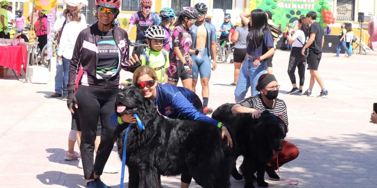 Celebran el Día Internacional del Perro en Sabinas