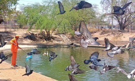 Llaman a cuidar flora y fauna de parques en Torreón