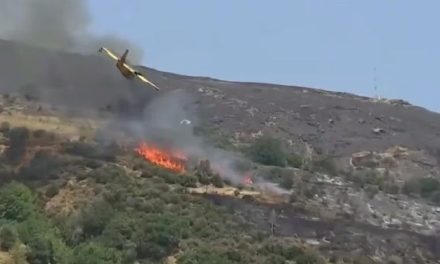 Video: Avión se estrella mientras combatía el incendio en Grecia