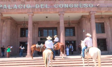 Nadie se preocupa por el estado de los caballos en eventos ecuestres y cabalgatas