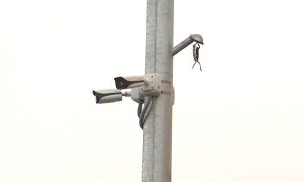 Adquirirá Saltillo más cámaras de vigilancia