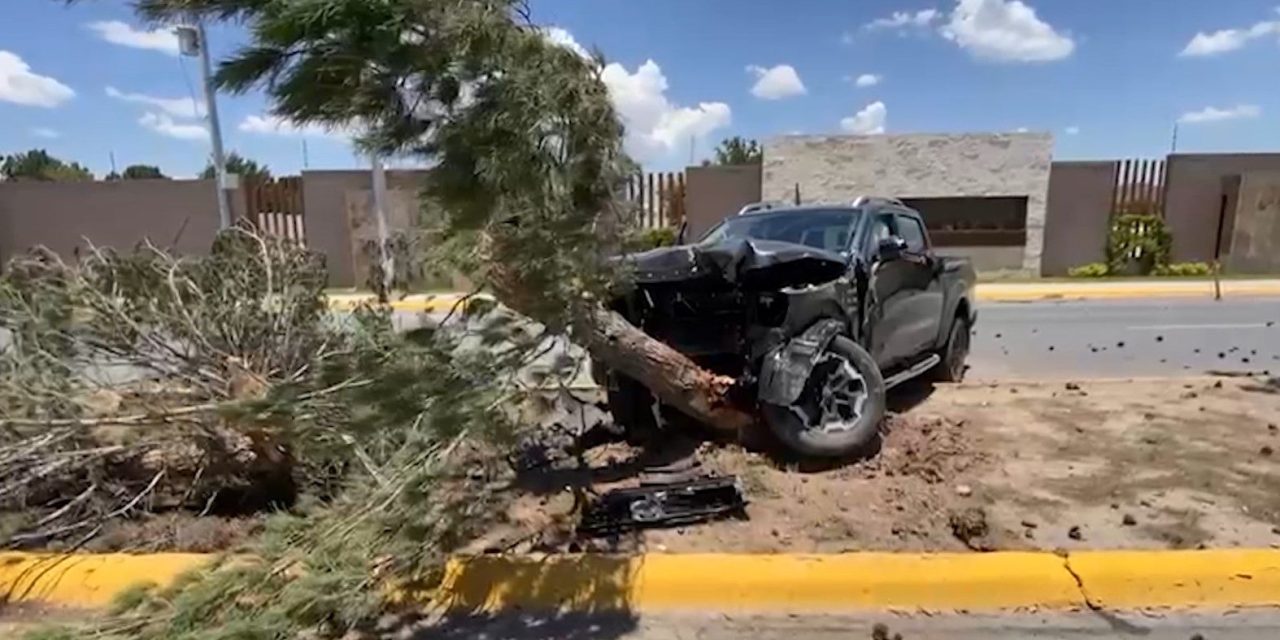 Choca contra árbol y lo derriba al norte de Saltillo