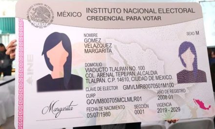 Elaboran en Torreón credenciales falsas del INE