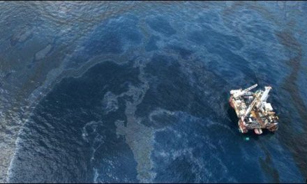 Derrame de petróleo pone en peligro el ecosistema marino en el Golfo de México