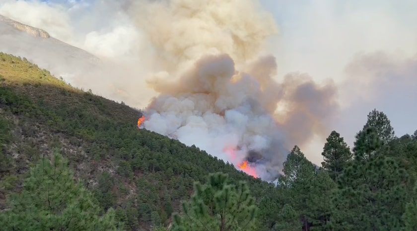 Controlados todos los incendios en Coahuila