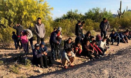 Suman 113 migrantes muertos por calor en México