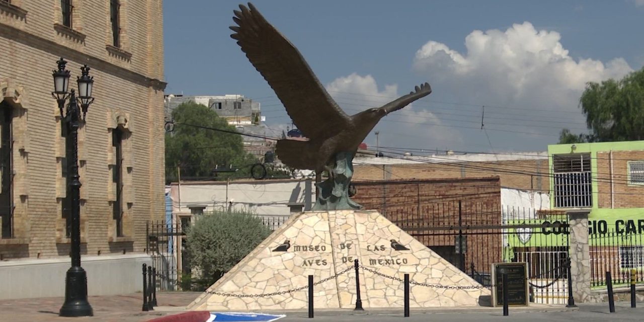 Invitan este verano al Museo de las Aves
