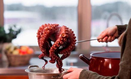 Insólito: Médicos extraen un pulpo de la garganta de un hombre