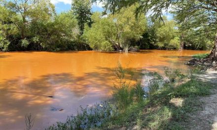 Sigue contaminación del río Sabinas