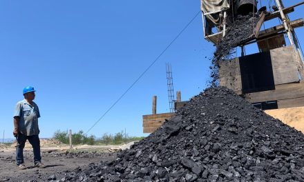 Busca CFE concretar tratos con productores de carbón