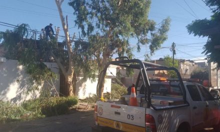 Ayuntamiento de Torreón realiza trabajos ante aumento de lluvias