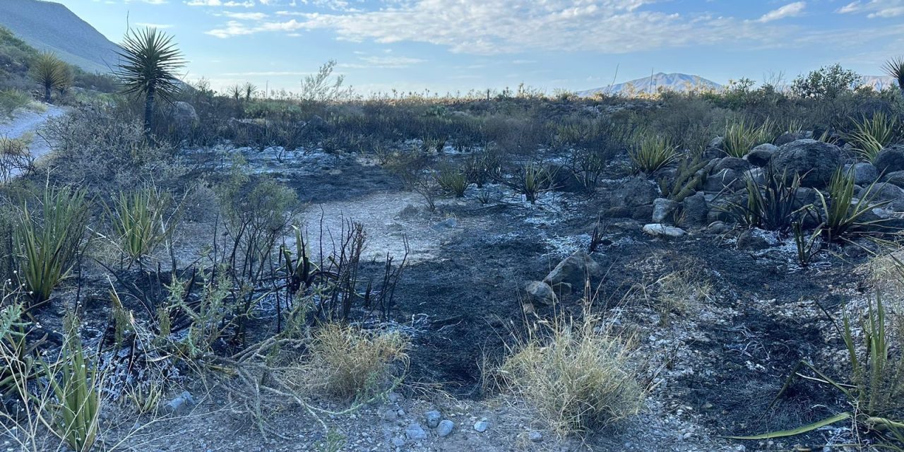 Sofocan incendio forestal en el Cañón Jimulco