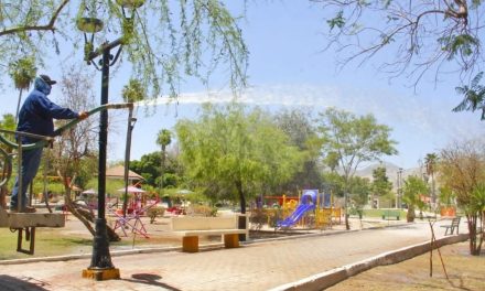 Realizan mantenimiento permanente en la Alameda