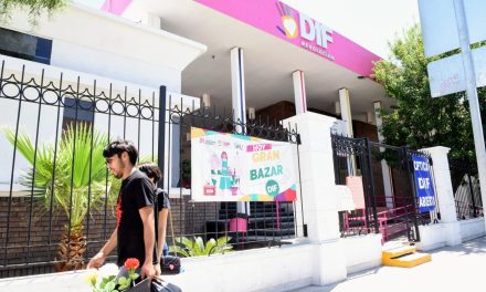 Abren DIF Torreón Taller de Mantenimiento Básico de Jardines