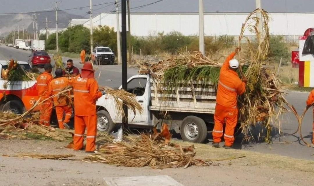 Dan mantenimiento a áreas verdes de Torreón