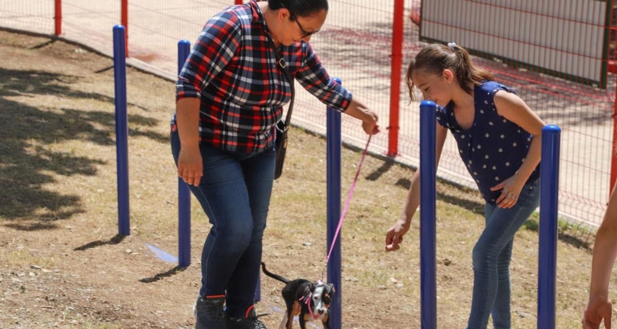 Aplaude ciudadanía edificación del Parque Perrón en Saltillo