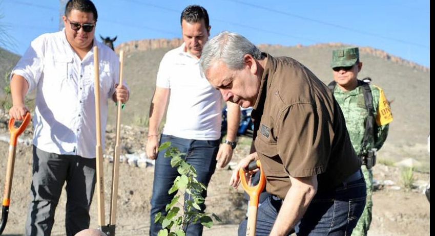 Reforestan Saltillo para una Ciudad Verde