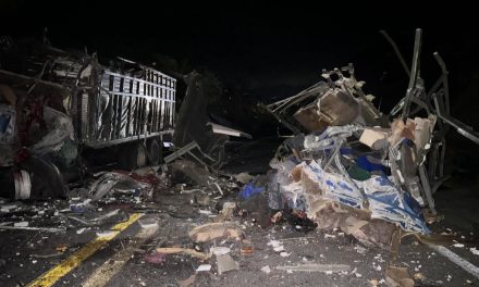 Trágico accidente entre tráiler y autobús  en la autopista Tehuacán-Oaxaca deja varios muertos y heridos