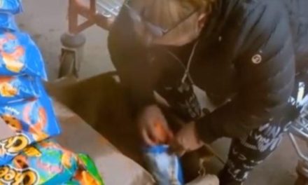 Mujer con mentalidad de tiburón hace los ‘sabri-clones’… rellena bolsas de Cheetos pirata