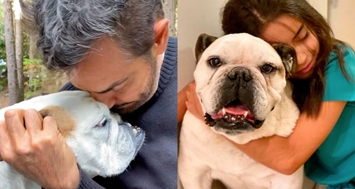 Familia Derbez está de luto tras la muere su perrita Fiona