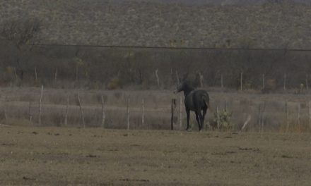 Continúa desazolve de abrevaderos en Saltillo en espera de las lluvias