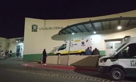 Saltillo: Pequeñita de 5 años se encuentra grave tras ataque de un perro