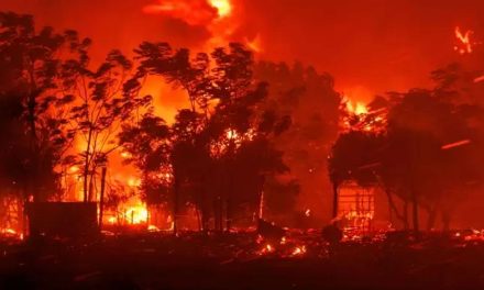 Tragedia en Grecia: 18 migrantes muertos en nueva ola de incendios