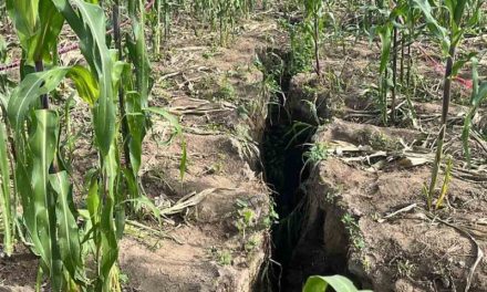 Insólito: Se abre la tierra en el Edomex; aparece grieta de medio kilómetro