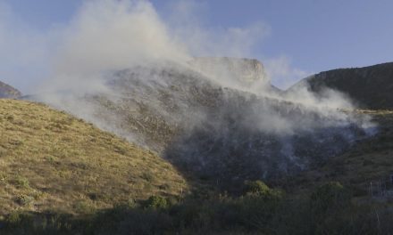 Existen dos incendios forestales activos en el norte de Coahuila